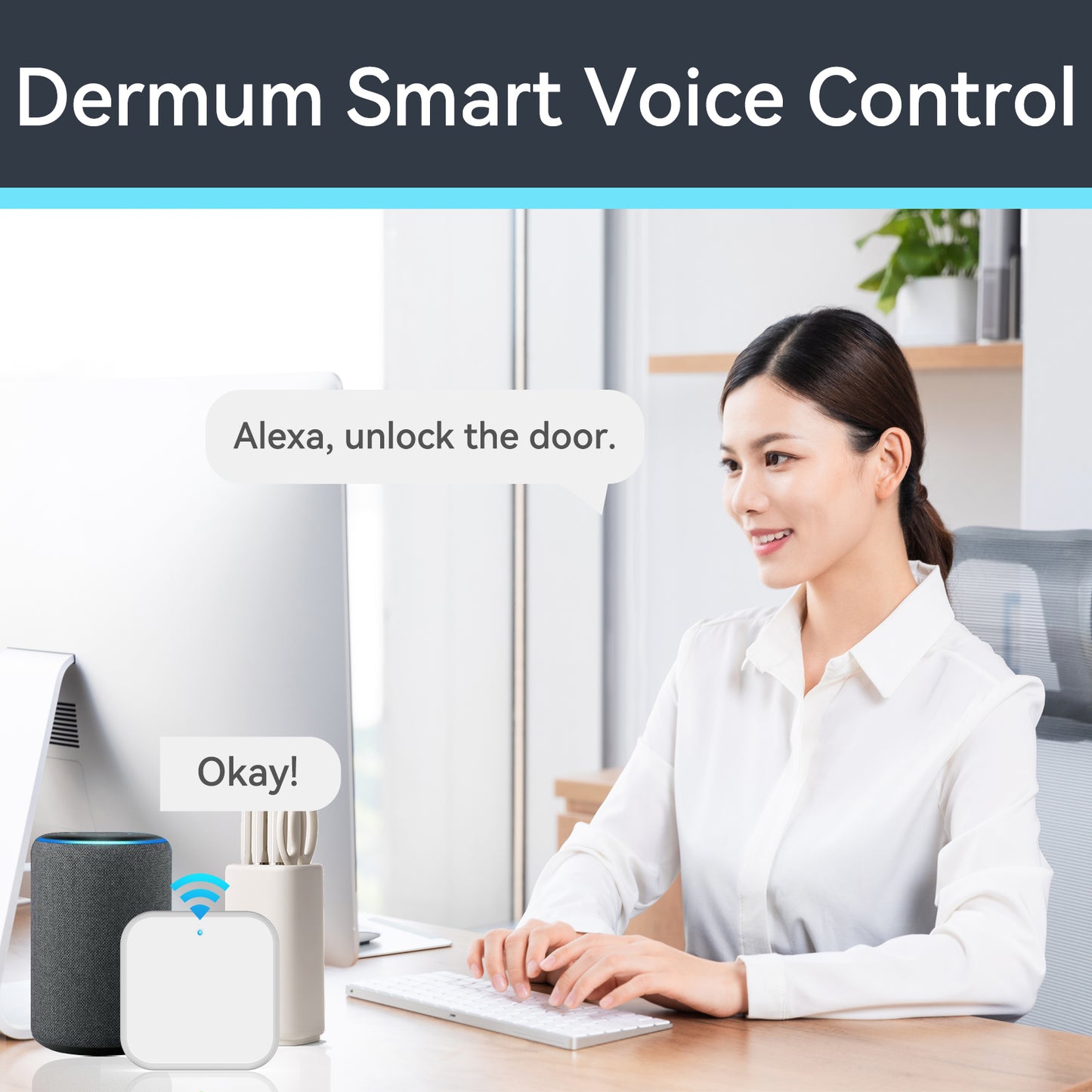 dermum smart voice control